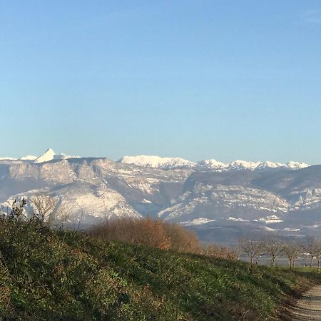 Gites&Chambres D Hotes Les Granges Du Fournel Saint-Lattier Exteriör bild